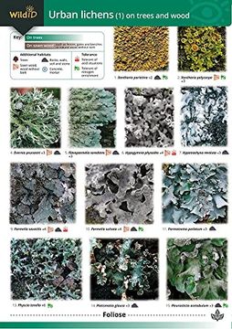 portada Guide to Common Urban Lichens (Pt. 1) (in English)