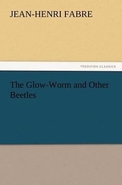 portada the glow-worm and other beetles (en Inglés)