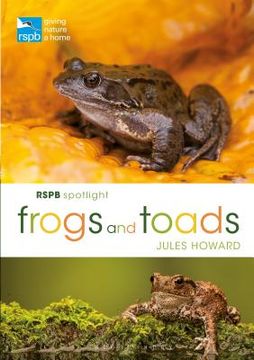 Rspb Spotlight Frogs and Toads (en Inglés)