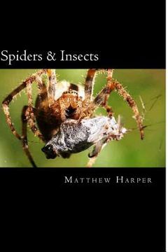 portada Spiders & Insects: Two Fascinating Books Combined Together Containing Facts, Trivia, Images & Memory Recall Quiz: Suitable for Adults & C (en Inglés)
