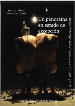 portada Un Panorama en Estado de Excepcion (in Spanish)