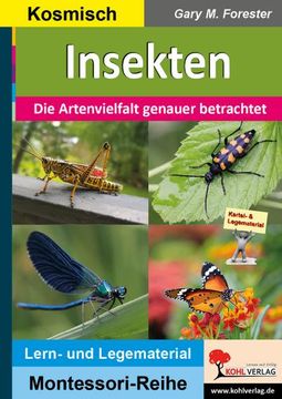 portada Insekten (en Alemán)