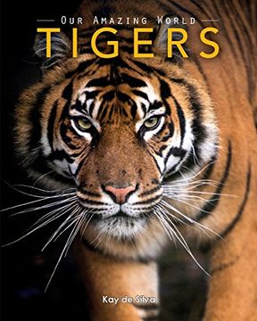 portada Tigers: Amazing Pictures & Fun Facts on Animals in Nature (en Inglés)