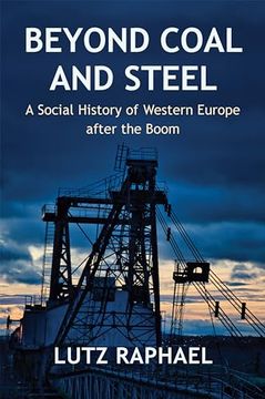 portada Beyond Coal and Steel: A Social History of Western Europe After the Boom (en Inglés)