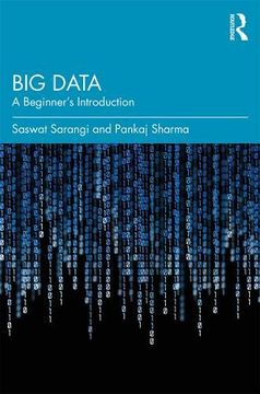 portada Big Data: A Beginner's Introduction (en Inglés)
