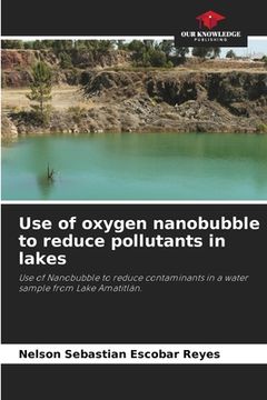 portada Use of oxygen nanobubble to reduce pollutants in lakes