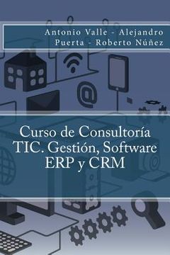portada Curso de Consultoría Tic. Gestión, Software erp y crm (in Spanish)