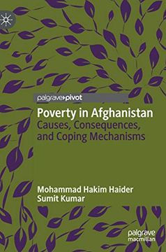 portada Poverty in Afghanistan: Causes, Consequences, and Coping Mechanisms (in English)