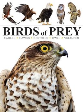 portada Birds of Prey (Mini Encyclopedia) (en Inglés)