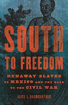 portada South to Freedom: Runaway Slaves to Mexico and the Road to the Civil war (en Inglés)