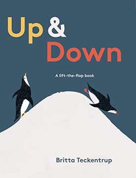 portada Up & Down: A Lift-The-Flap Book (in English)