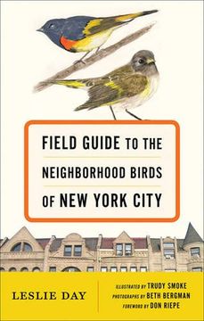 portada Field Guide to the Neighborhood Birds of New York City (en Inglés)