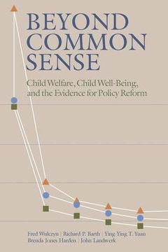 portada Beyond Common Sense: Child Welfare, Child Well-Being, and the Evidence for Policy Reform (en Inglés)