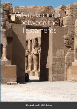 portada What happened between the Testaments (en Inglés)