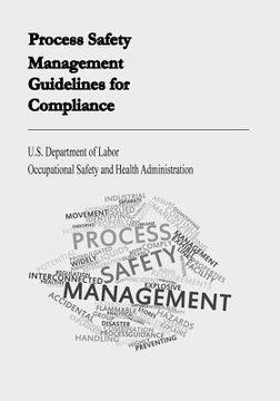 portada Process Safety Management Guidelines for Compliance (en Inglés)