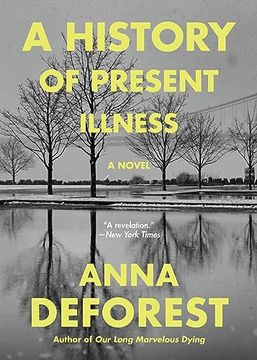 portada A History of Present Illness (en Inglés)