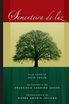 portada Sementeira de Luz (Primeiro livro da trilogia de Neio Lúcio) (en Portugués)
