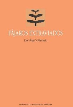 portada Pájaros Extraviados (la Gruta de las Palabras) (in Spanish)