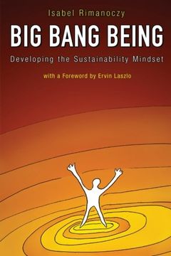 portada Big Bang Being: Developing the Sustainability Mindset (in English)
