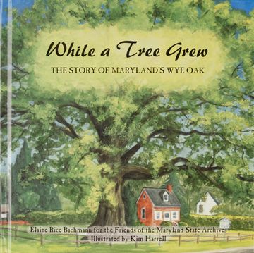 portada While a Tree Grew: The Story of Maryland’S wye oak (en Inglés)