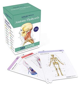 portada Anatomy Flashcards (en Inglés)