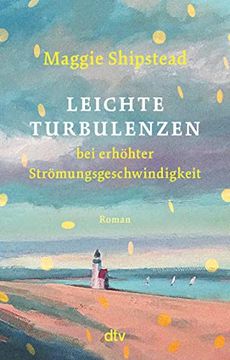 portada Leichte Turbulenzen bei Erhöhter Strömungsgeschwindigkeit: Neuausgabe (en Alemán)