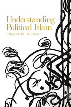 portada Understanding Political Islam (in English)