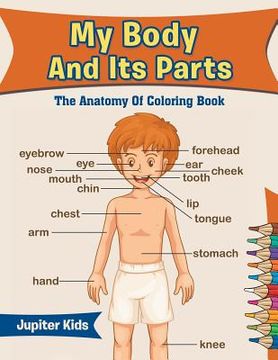portada My Body And Its Parts: The Anatomy Of Coloring Book