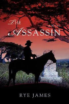 portada the assassin (in English)
