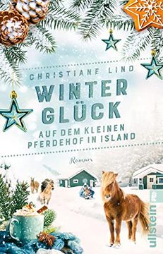 portada Winterglück auf dem Kleinen Pferdehof in Island: Roman | Romantic Escape Nach Island: Unter den Polarlichtern Werden Winterträume Wahr (in German)