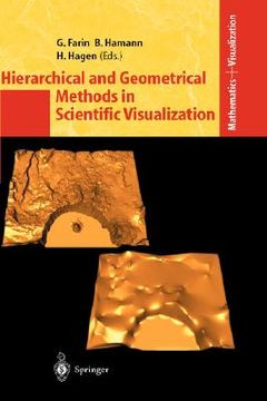 portada hierarchical and geometrical methods in scientific visualization (en Inglés)