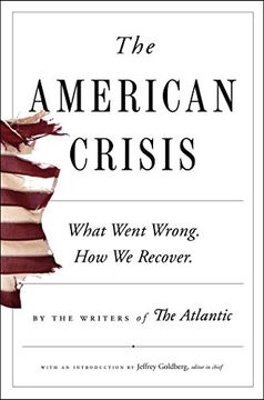 portada The American Crisis: What Went Wrong. How we Recover. (in English)