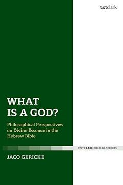 portada What is a God? Philosophical Perspectives on Divine Essence in the Hebrew Bible (en Inglés)