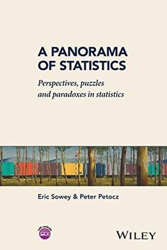 portada A Panorama of Statistics - Perspectives, Puzzles and Paradoxes in Statistics