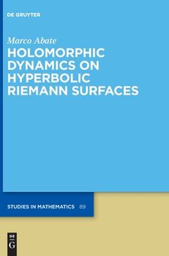 portada Holomorphic Dynamics on Hyperbolic Riemann Surfaces (en Inglés)