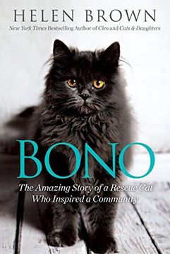portada Bono: The Amazing Story of a Rescue cat who Inspired a Community 