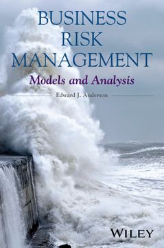 portada Business Risk Management: Models and Analysis