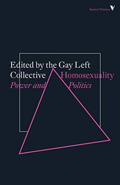 portada Homosexuality: Power and Politics (en Inglés)
