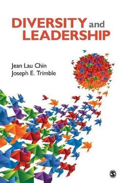 portada Diversity and Leadership (en Inglés)