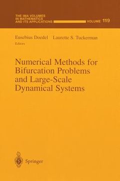 portada Numerical Methods for Bifurcation Problems and Large-Scale Dynamical Systems (in English)