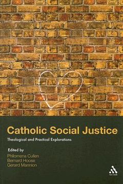portada catholic social justice: theological and practical explorations (en Inglés)