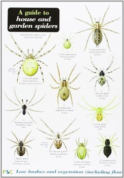 portada A Guide to House and Garden Spiders