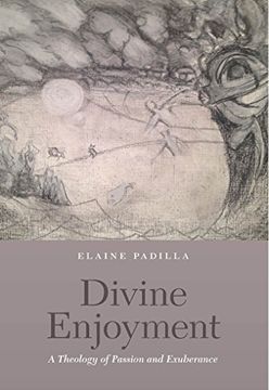 portada Divine Enjoyment: A Theology of Passion and Exuberance 