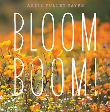 portada Bloom Boom! (in English)