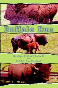 portada buffalo run (en Inglés)