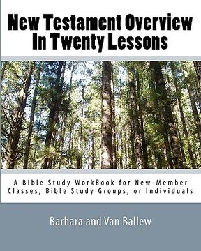 portada new testament overview in twenty lessons (en Inglés)