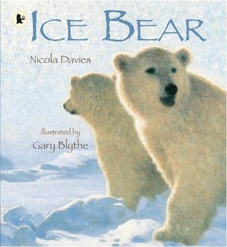 portada Ice Bear