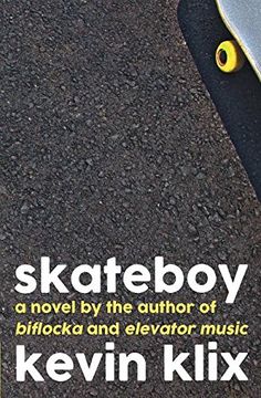 portada Skateboy: A Novel
