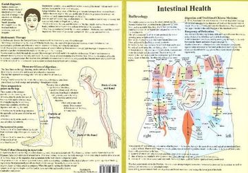 portada Intestinal Health -- Double Sided A4