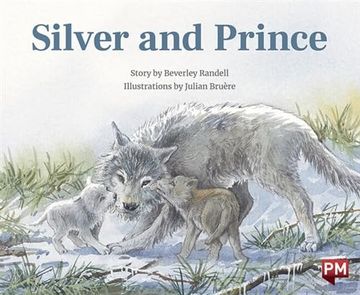 portada Silver and Prince